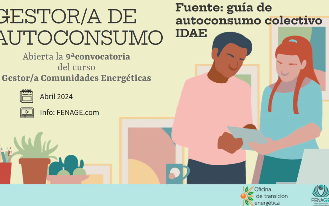 Gestor/a autoconsumo